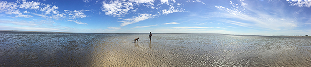Wattenmeer panorama